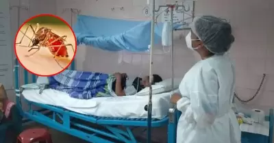Loreto reporta 1,300 afectados por dengue