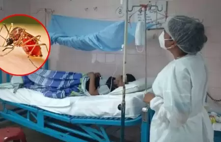 Loreto reporta 1,300 afectados por dengue