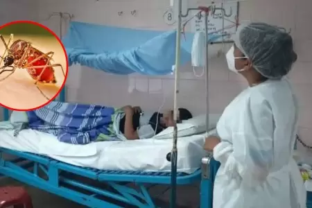 Loreto reporta 1,300 afectados por dengue