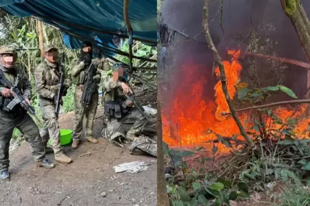 FF.AA. incauta m�s de 3.4 toneladas de hoja de coca en Ayacucho.