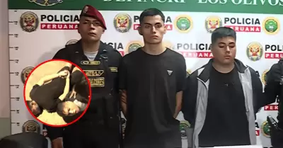 Cay� banda criminal 'Los Demonios del Mal' en Los Olivos