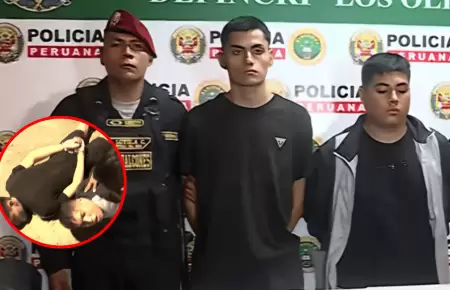 Cay� banda criminal 'Los Demonios del Mal' en Los Olivos