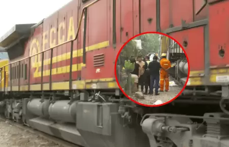 Hombre falleci� tras ser arrollado por un tren en Santa Anita