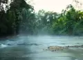 �Incre�ble! Hallan sorprendente variedad de fauna en la zona del r�o Hirviente de Hu�nuco