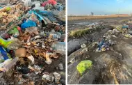 Desborde y basura cerca de canal de r�o generan alerta ambiental en Legu�a