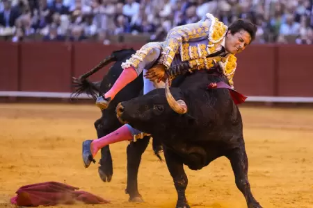 Torero Andr�s Roca Rey resulta herido tras ser impactado por un toro en la Maest