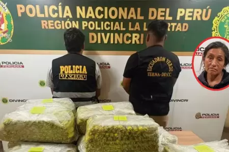 Anciana fue capturada con explosivos en su casa.