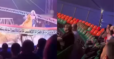 Tigre salta hacia el p�blico durante circo en Rusia