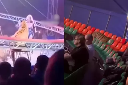 Tigre salta hacia el p�blico durante circo en Rusia