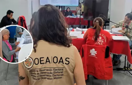Misi�n de la OEA promete regresar con 90 especialistas.