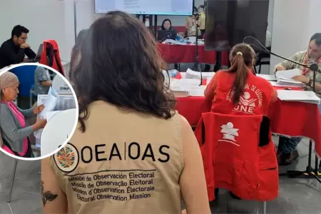 Misi�n de la OEA promete regresar con 90 especialistas.