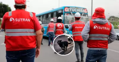 La entidad ense�a como reaccionar a estos hechos.