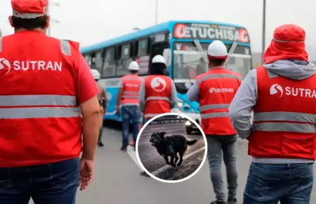 La entidad ense�a como reaccionar a estos hechos.