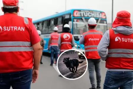 La entidad ense�a como reaccionar a estos hechos.