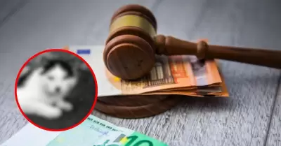 Multan a hombre por subir foto de su gato