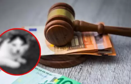 Multan a hombre por subir foto de su gato