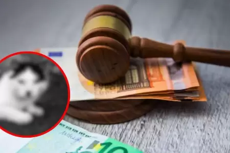 Multan a hombre por subir foto de su gato