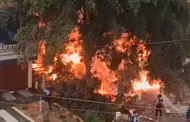 Los OIivos: Incendio por vela encendida consume una vivienda en la Urb. Los Naranjos desde tempranas horas del d�a