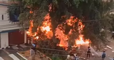 Incendio en Los Olivos, lunes 27 de abril.