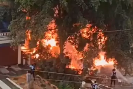 Incendio en Los Olivos, lunes 27 de abril.