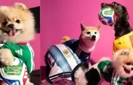 Copa Mundial 2026: Reconocida marca lanza colecci�n de camisetas para mascotas