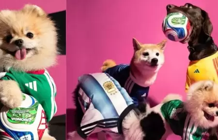 Adidas lanza colecci�n de camisetas para mascotas