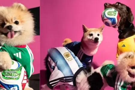 Adidas lanza colecci�n de camisetas para mascotas
