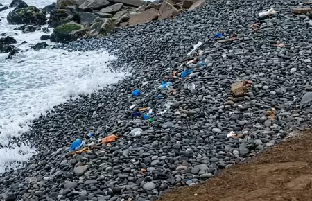 Toneladas de basura aparecieron en playas de Miraflores.
