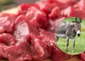 Carne vacuna sube en Argentina y desata controversia: Carnicer�a ofrece de burro como alternativa