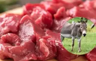 Carne vacuna sube en Argentina y desata controversia: Carnicer�a ofrece de burro como alternativa