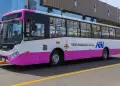 Corredor Rosado: 30 buses iniciaron operaci�n para conectar el Callao con Lima en 1 hora y 10 minutos