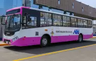 Corredor Rosado: 30 buses iniciaron operaci�n para conectar el Callao con Lima en 1 hora y 10 minutos