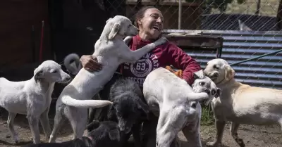 Ordenanza impide que familias tengan m�s de dos mascotas