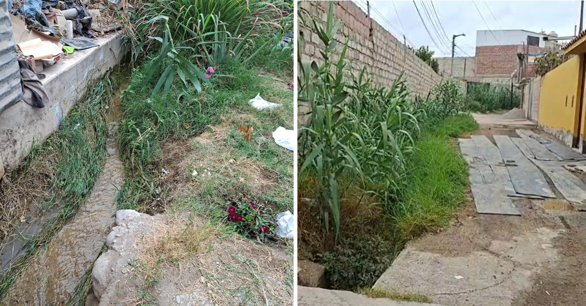 Acequia abandonada genera alarma por dengue en Pocollay