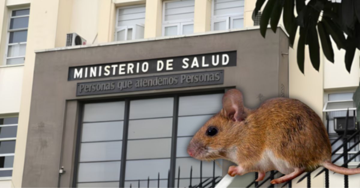 Prevención de Hantavirus: Minsa garantiza vigilancia epidemiológica en aeropuertos y puertos de todo el país
