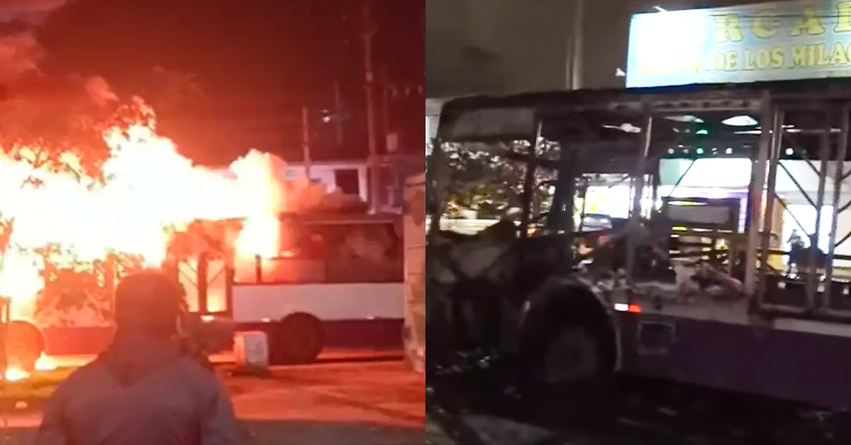 SJL: Bus del Corredor Morado se incendia en Av. Wiesse y queda reducido a cenizas