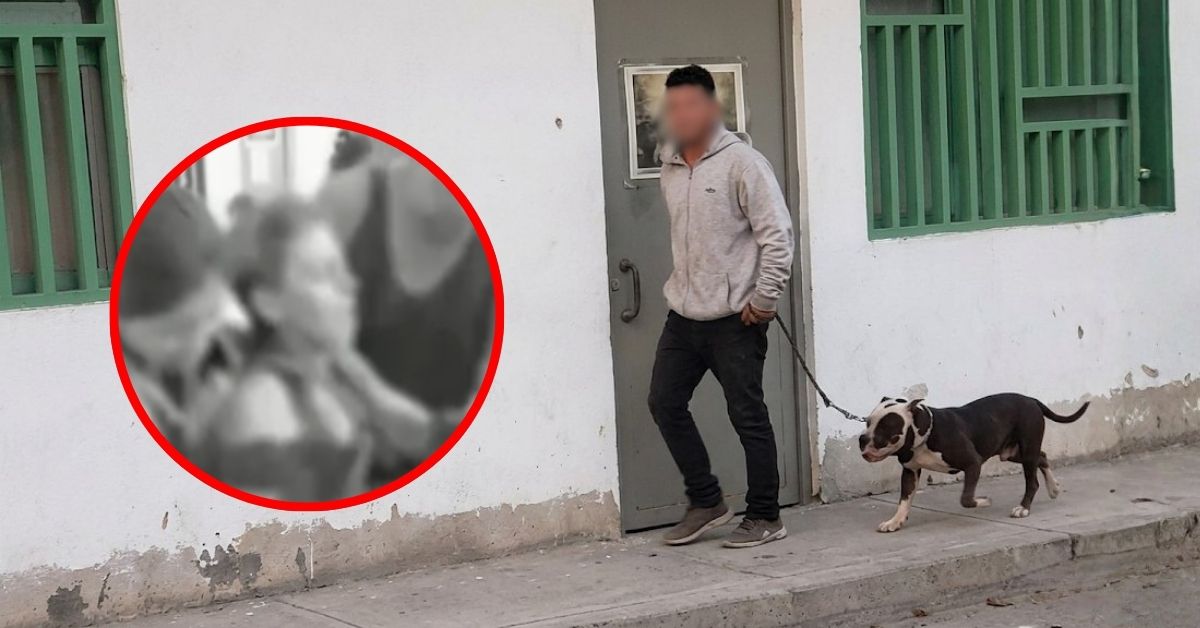 Comas: mujer permanece internada en un hospital tras ser atacada por un perro pitbull en el sector de Collique
