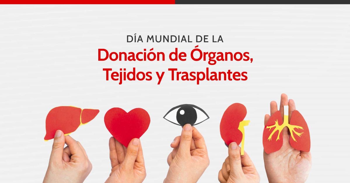 ¡Una decisión puede salvar vidas! Minsa impulsa donación de órganos en el Día Nacional del Donante