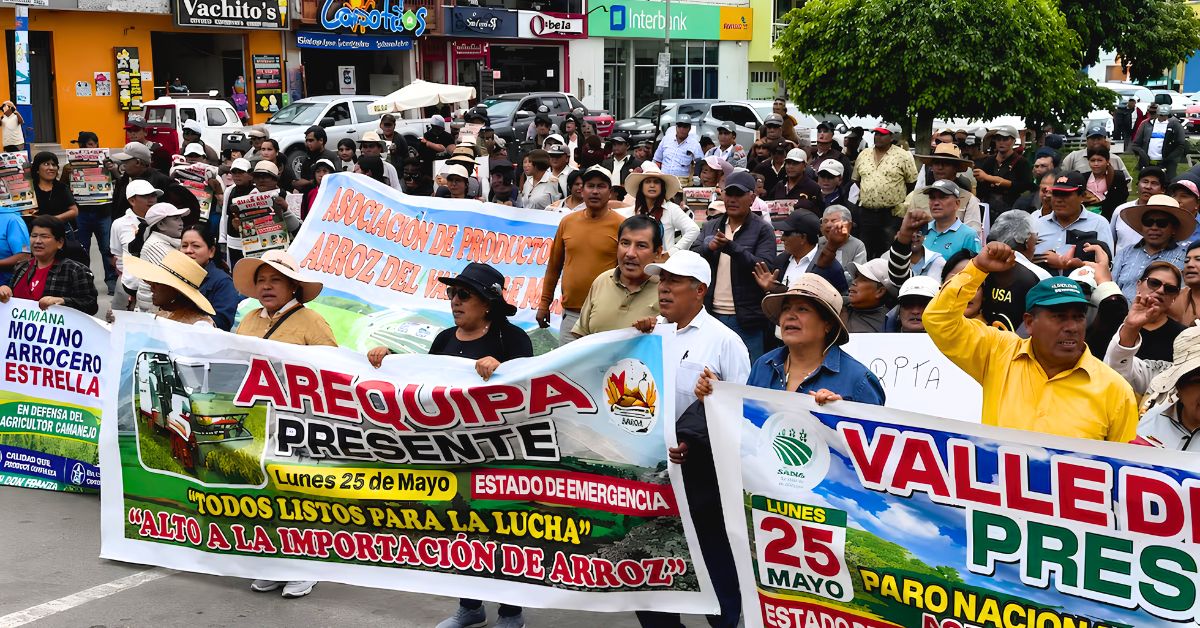 Productores de arroz a nivel nacional rechazan convocatoria de la PCM: "No van a asistir"