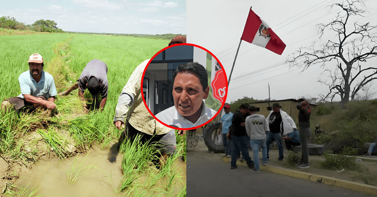 Arroceros de Piura advierten radicalización de paro y rechazan reunión del Ejecutivo con otros dirigentes: 
