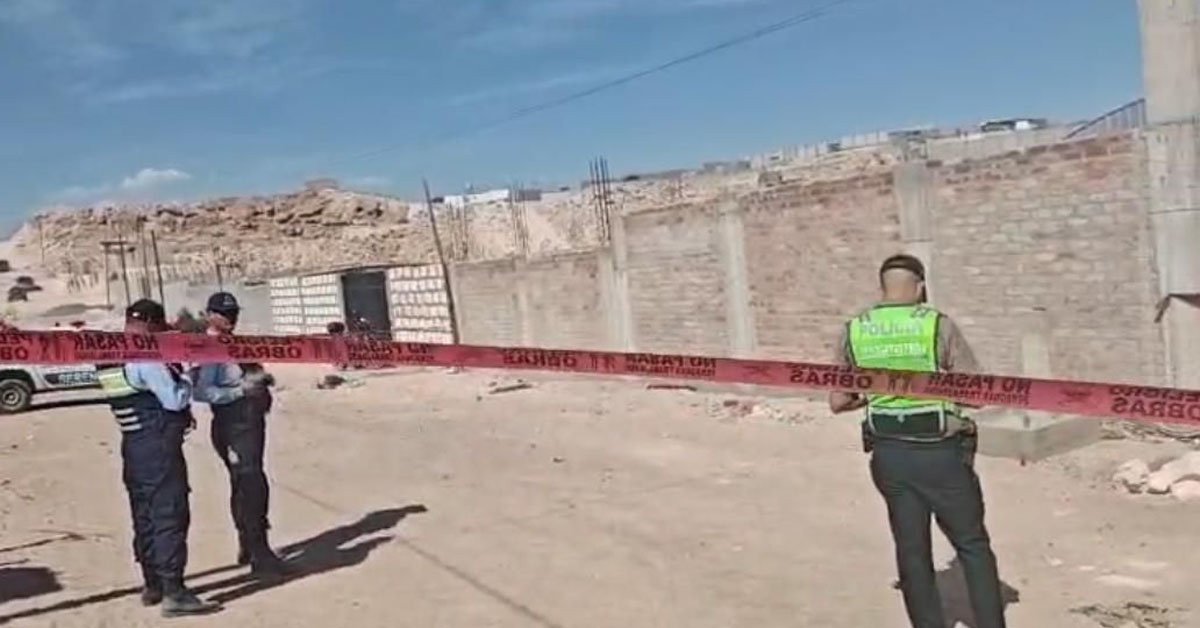 Terror en Arequipa: Anciana de 72 a�os pierde la vida tras ser atacada por jaur�a de perros en Cerro Colorado