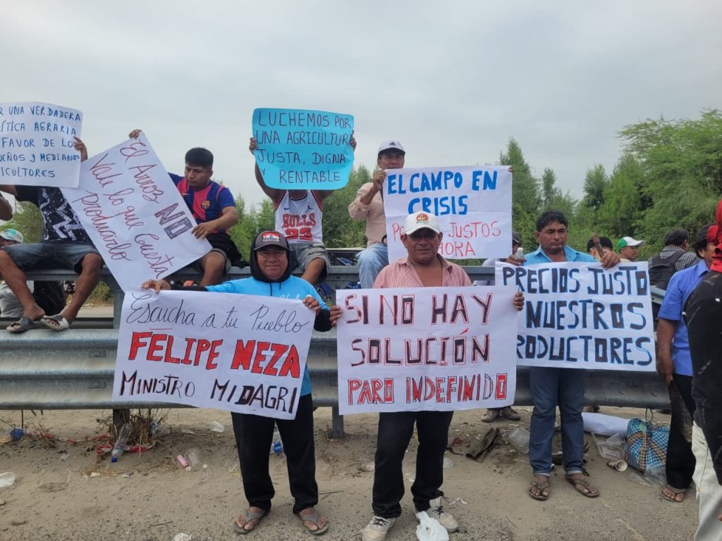 Arroceros exigen acciones inmediatas del Estado para frenar crisis.