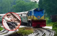 Padre de familia da la vida por su menor hijo que cay� en v�as del tren: As� fue el acto heroico que se viraliz�