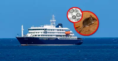 La OMS confirm� que son 6 los caso, uno confirmado con hantavirus y otra m�s en