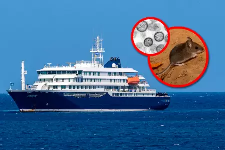 La OMS confirm� que son 6 los caso, uno confirmado con hantavirus y otra m�s en