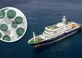Hantavirus: �Qu� es y cu�les son los s�ntomas del virus causante de 3 muertes en un crucero que sali� de Argentina?