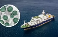 Hantavirus: �Qu� es y cu�les son los s�ntomas del virus causante de 3 muertes en un crucero que sali� de Argentina?