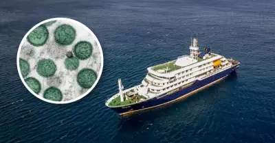 La OMS investiga un posible brote de hantavirus en un crucero que viajaba por el