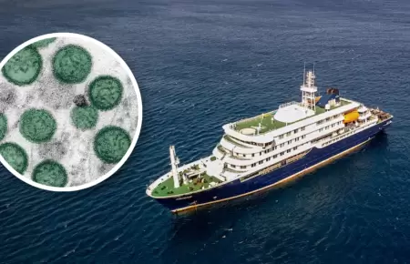 La OMS investiga un posible brote de hantavirus en un crucero que viajaba por el