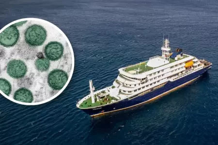 La OMS investiga un posible brote de hantavirus en un crucero que viajaba por el